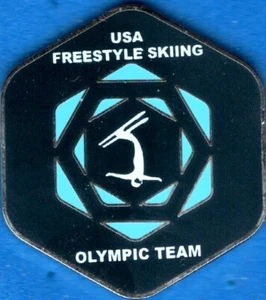 Nice 2006 Torino USA Olympic Freestyle Skiing Team NOC Sports Pin - Picture 1 of 1