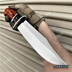 11" Full Tang Fixed Blade Knife Razor Sharp Bowie Tactical EDC Survival Knife - Picture 1 of 5