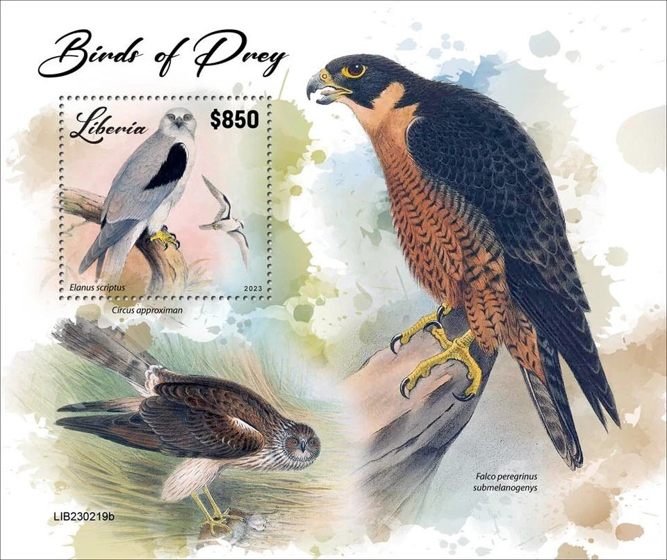 Estampillas de aves rapaces MNH 2023 Liberia S/S Foto 1 de 1