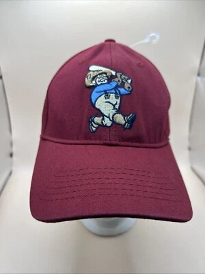 FRISCO ROUGHRIDERS Baseball Hat, Cap Adjustable Texas Rangers Swingin’ Teddy - Image 1 of 4