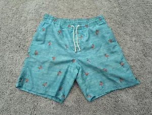 Old Navy Swim Shorts Mens Medium Board Shorts Drawstring Lined Flamingo Green - Picture 1 of 7