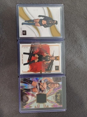 Wwe Jacy Jayne Panini - image 1 of 2