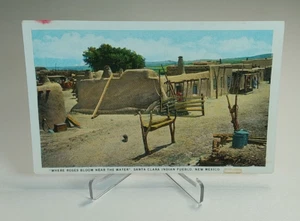 Where Roses Bloom Near The Water Santa Clara Indian Pueblo NM Unposted Postcard - Picture 1 of 2