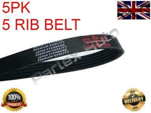 Drive Belt For Citroen Fiat Ford Honda Peugeot Renault Toyota Volvo (5PK848)