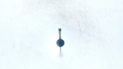 Válvula de escape Volkswagen Golf 2003 usada, original #883161-60 Foto 1 de 2