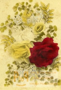 Blumen Stillleben USA altes CDV Foto 1870 - Bild 1 von 2