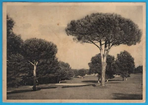 Istria Isola Brioni Campo da Golf FG cartolina vintage postcard postkarte MA1866 - Picture 1 of 2