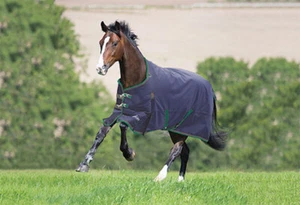 Shires Highlander Plus 200 Standard Neck Turnout-84"-Navy/Hunter - Picture 1 of 1