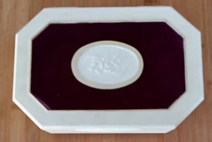 DE COLECCIÓN Avon Collectors Caja de Plástico Marfil con Revestimiento de Terciopelo - Imagen 1 de 3