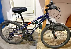 Schwinn Kids' Ranger 24" Mountain Bike, Blue/Gray/ Orange Highlights - Picture 1 of 4