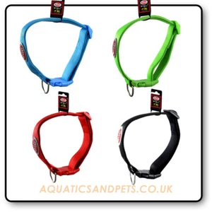 NYLON DOG COLLARS S L XL Green Black Red Blue DOG WALKING LEAD HARNESS COLLAR LE - Picture 1 of 13