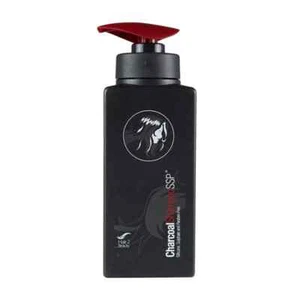 H2B Charcoal Shampoo & Conditioner Treatment Kit Silicone Paraben Sulfate Free - Picture 1 of 6