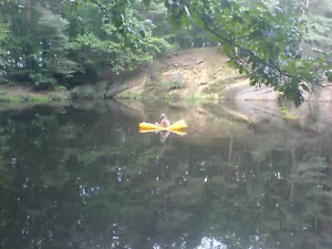 Waldgrundstück für Prepper mit eigenem Teich und natürlichem Fischbesatz ... - Bild 1 von 10
