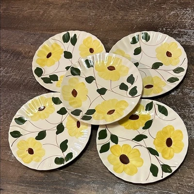 Juego de 5 platos de cena Blue Ridge Southern Pottery patrón "Ridge Daisy" 9 1/2" Foto 1 de 4
