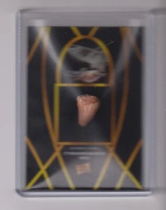 2022 PIECES OF THE PAST TYRANNOSAURUS REX TOOTH RELIC - Picture 1 of 1