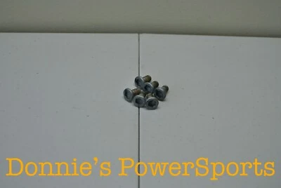 Pernos de rotor de disco de freno delantero Yamaha YZ250F YZ450F 14-17 OEM 90151-06079-00 171 Foto 1 de 2