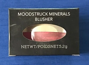 Younique Moodstruck Minerals Loose Blusher ~ STUNNING Shade ~ NIB - Picture 1 of 2