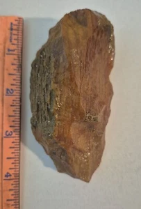 Florida Arrowhead Artifact Coral Tool Scraper Suwannee Co. - Picture 1 of 3