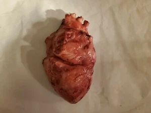 Silicone horror movie prop heart organ gore special effects guts splatter film - Picture 1 of 2