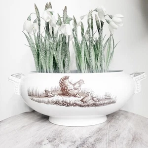 Vtg Duck Hen Oval Ironstone Tureen Bowl Brown Westhead Moore BWM & Co Country - Picture 1 of 19