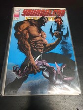 YOUNGBLOOD STRIKEFILE #’s 1 2 3 complete Set Image Comic books