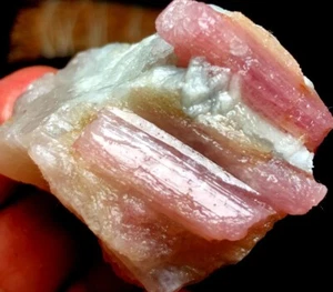 54g 1PCS Natural Red tourmaline Quartz Crystal cluster mineral specimen q779 - Picture 1 of 6