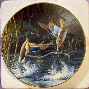 Placa de coleccionista Aloft de Michael Budden Free as the Wind Knowles Duck - Imagen 1 de 6