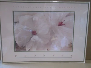 PEONIES CATHERINE MCCLIMENT HORVARTH 1984 VINTAGE POSTER  CNG3140 - Picture 1 of 5