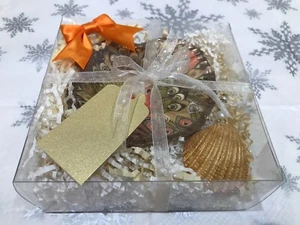Decoupaged SCALLOP SHELL TRINKET TRAY - Tealight holder Gift Boxed with Tag - Picture 1 of 9
