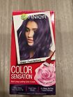 Garnier Color Sensation Grape Excpectations Hair Color #5.21 Intense Purple