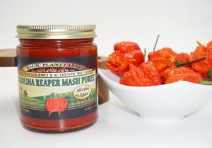 Carolina Reaper Mash | Peperoncini piccanti 100% fermentati naturalmente - Qualità premium - Foto 1 di 8