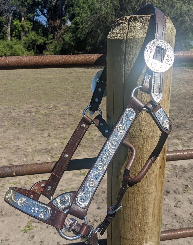 Halter Silver Show - Cuero de aceite oscuro - Diseño de cuerda tamaño de caballo - Vástago de plomo a juego Foto 1 de 4