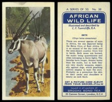Oryx #38 African Wild Life 1962 Brooke Bond Tea Card