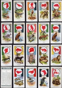 Players - Boy Scout & Girl Guide - Complete Set - Picture 1 of 1