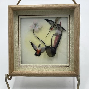 Caja de sombras artesanal vintage colibríes arte plumas colgante de pared enmarcado - Imagen 1 de 3