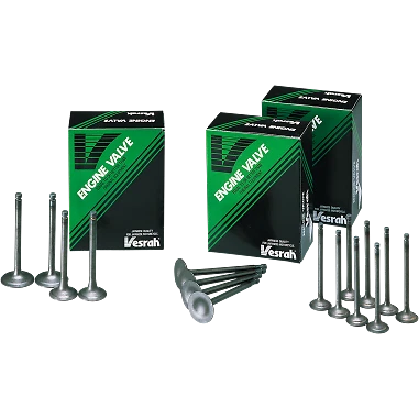 VESRAH GG-2013-EX КЛАПАН EX 185/200/225/250 - Изображение 1 из 1