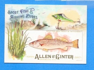2017 Topps Allen & Ginter Sport Fish & Fishing Lures #SFL11 Spotted Sea Trout - Picture 1 of 1