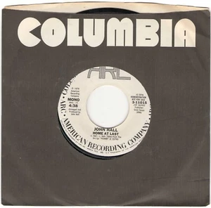 Promo 45 rpm - JOHN HALL - Home At Last - COL./ARC #11015 - 1979 - NM to MT - Picture 1 of 1