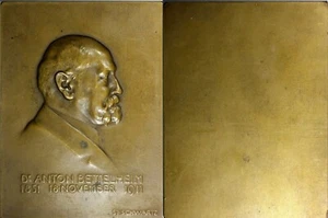 ÖSTERREICH Medaille Bronzetafel 1911von S.Schwartz Anton Bettelheim - Kritiker, Journalist - Bild 1 von 3