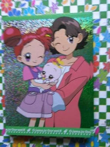 DOREMI MAGICAL MAGICA OJAMAJO TRADING COLLECTION CARDDASS CARD PRISM CARTE - Imagen 1 de 1