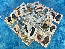 W.D. & H.O Wills Animals & Their Furs Full Set A Series of 25 large cards 1929