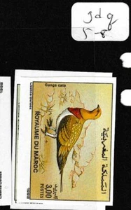 Morocco Imperf SC 748-9 Birds MNH (5gdq) - Picture 1 of 1