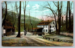 Vintage Mineral Springs Park Hotel Postcard Near Reading PA 1911 - Picture 1 of 2