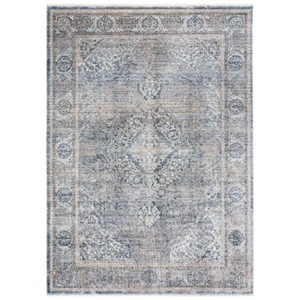 SAFAVIEH Dream DRM492J Grey / Turquoise Rug - Picture 1 of 5