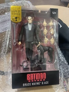 DC Collectibles Batman Beyond Bruce Wayne & Ace DC McFarlane Multiverse - Picture 1 of 3