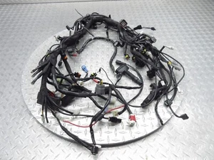 2023 23-24 KTM Super Duke 1290 GT Main Engine Wiring Harness Wire Loom Cable OEM - Foto 1 di 15
