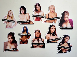Nude Model Vinyl Sticker Lot (10 Pack) SET 1 boobs porn xxx rated naked girl Ai - Picture 1 of 1