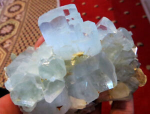 Gorgeous 2500cts Aquamarine Crystal Bunch Clusters Terminated Shigar Free ship