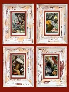 Sea anemones, Sea Prints, Anemones, Antique Prints, Sea Studies, Sealife - Picture 1 of 11