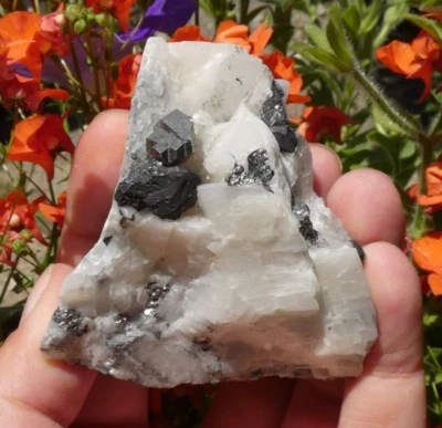 A identifier - Galène Bournonite Adulaire Chalcopyrite - minéraux collection - Photo 1/4